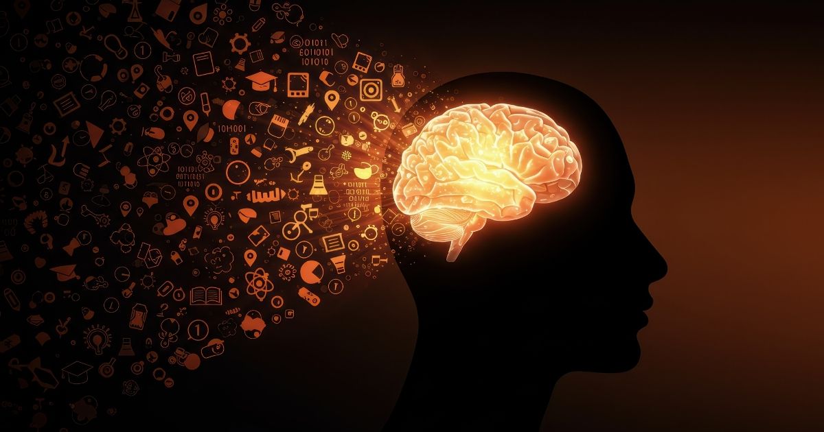 estudo-revela-como-o-cerebro-evita-misturar-memorias.jpg